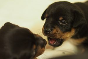 P6270126