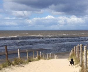 meer